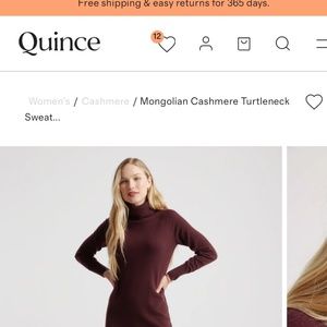 NWT Quince Mongolian Cashmere Dress M